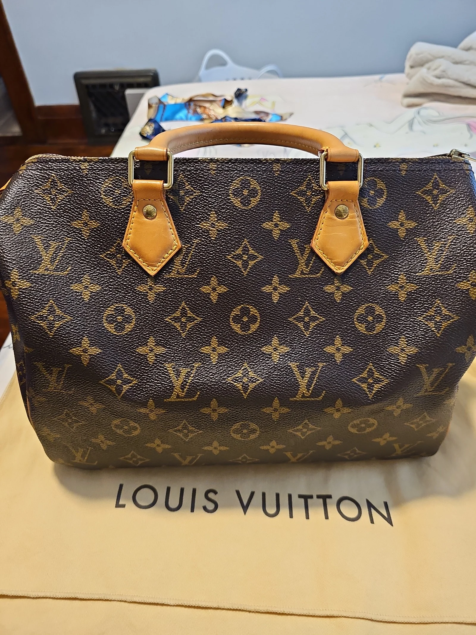 Louis Vuitton LV speedy 30 in Mono 2017