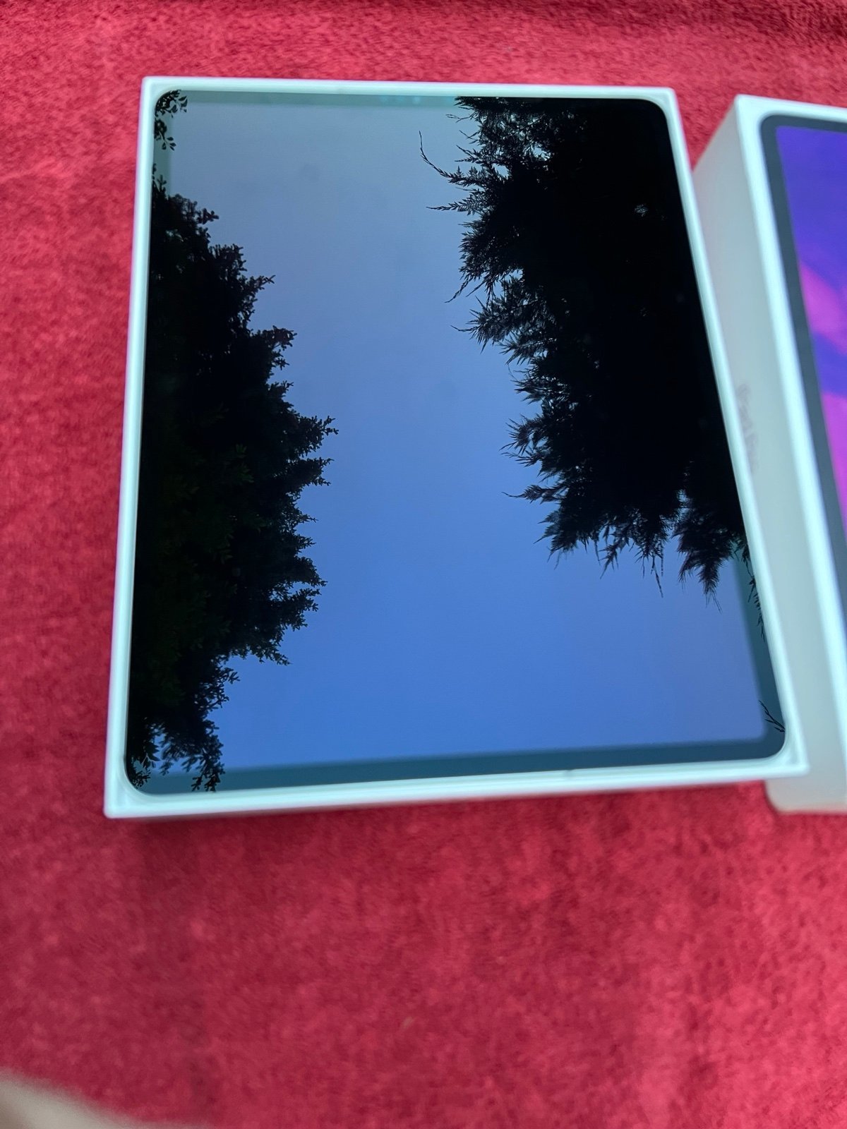 iPad Pro 12.9 Inch 3U52