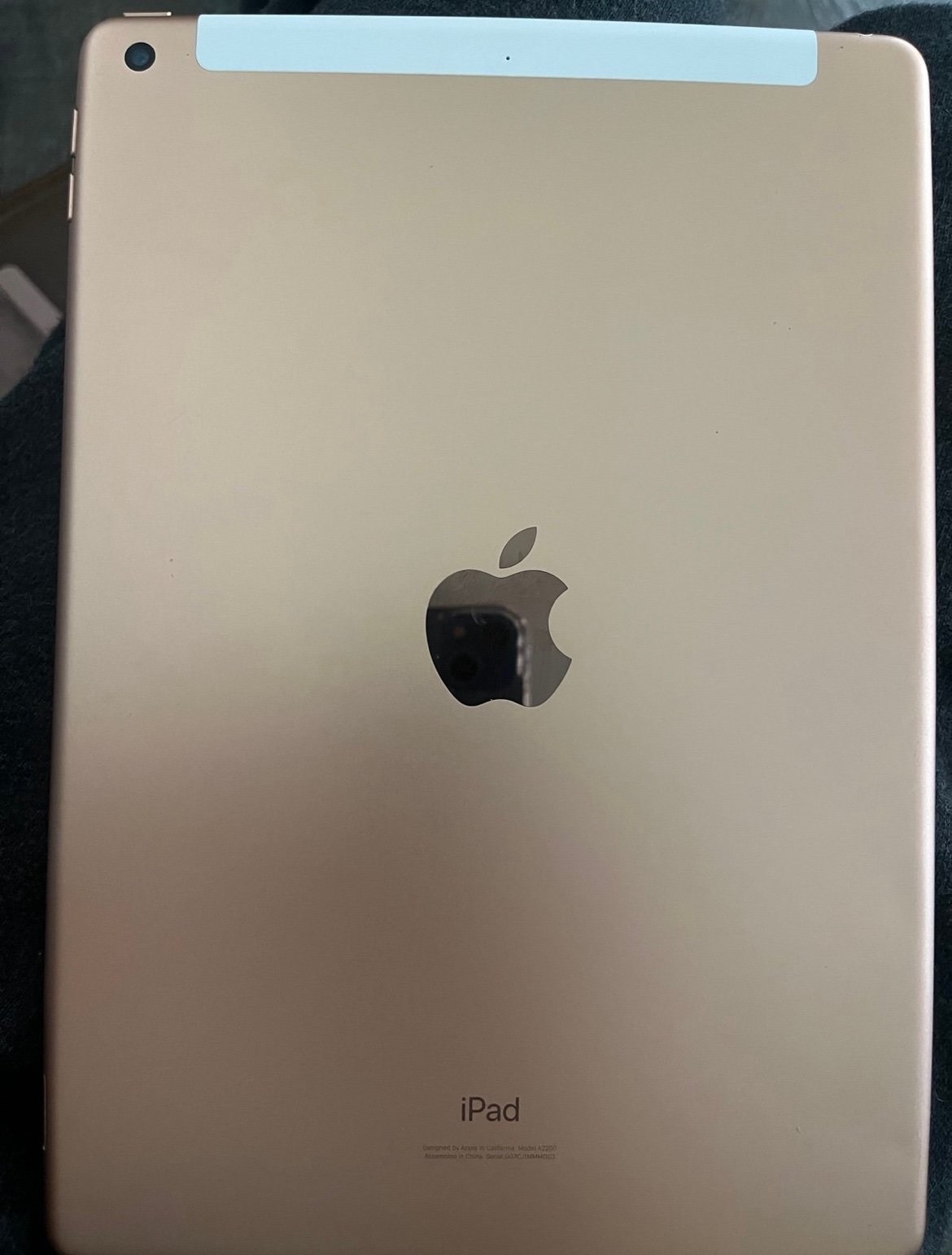 iPad pro and iPad rosegold 6S15