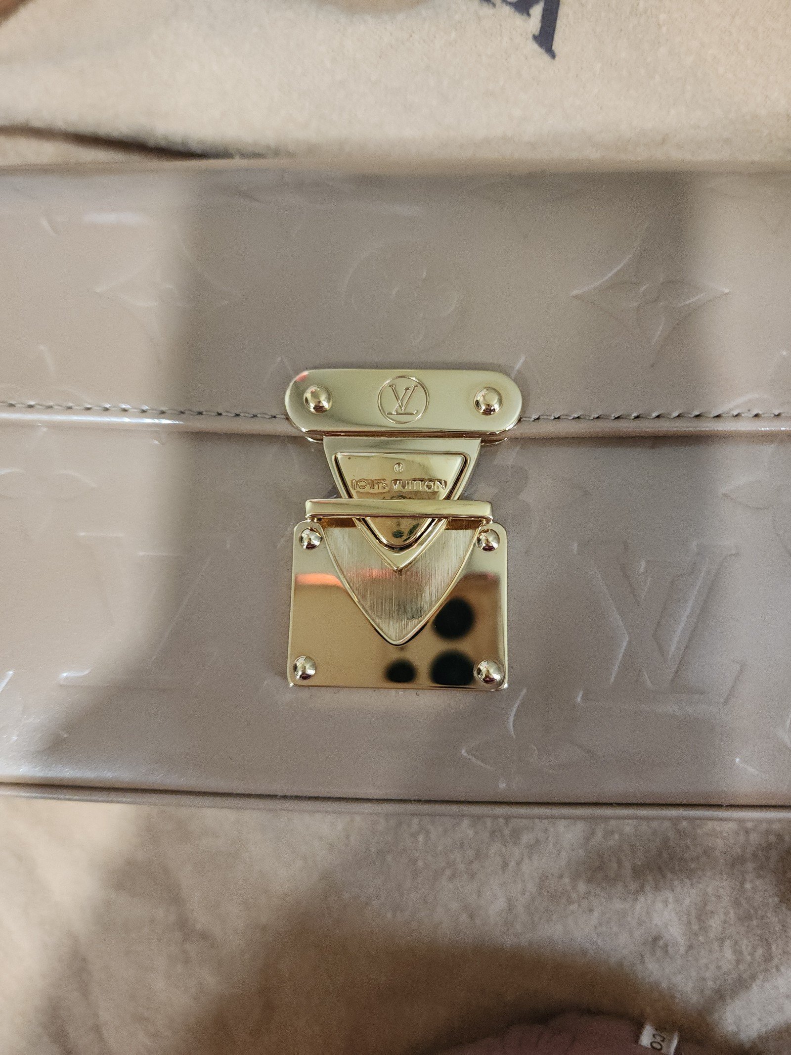 Louis Vuitton Vermis Malibu pochette