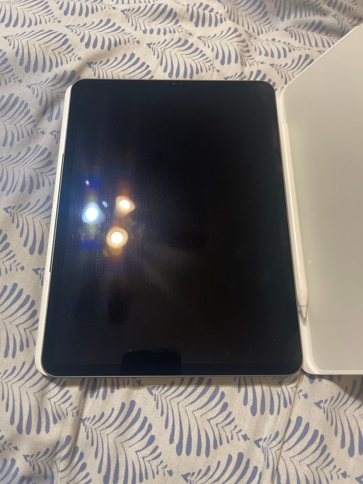 ipad pro 11 inch 1st gen 256gb w/brydge keyboard and pen 6C11