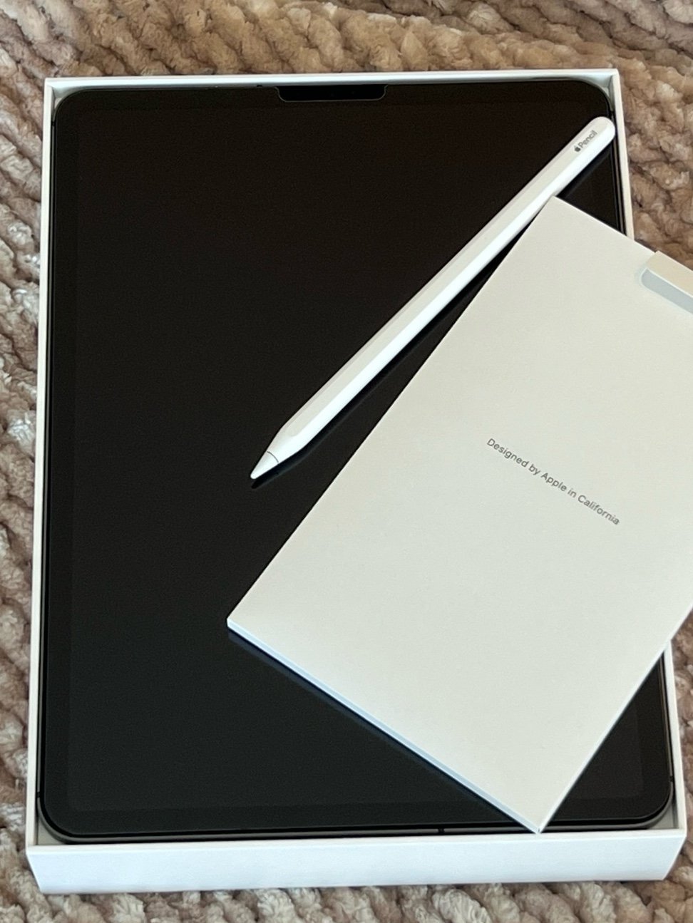 Apple iPad Pro 11-inch 2nd Generation 128 GB in Space Gray 6B82