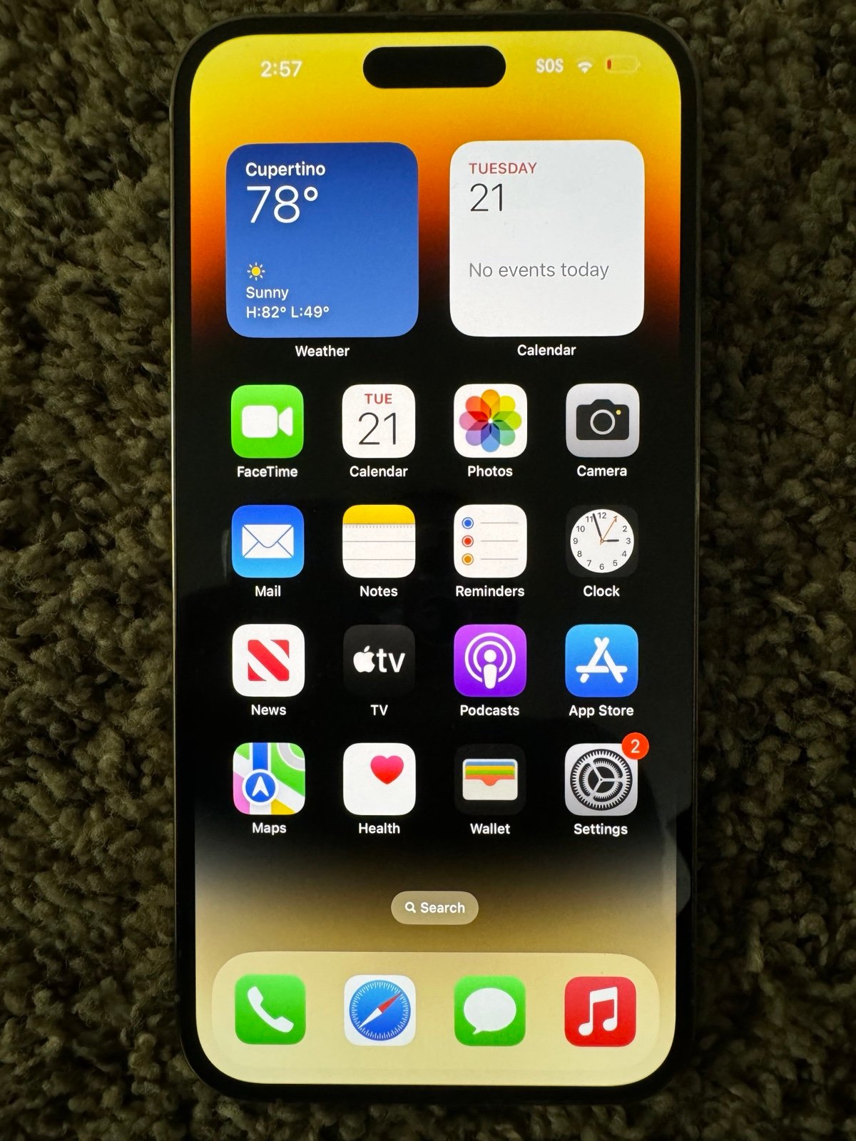 iPhone 14 Pro Max 1Z55