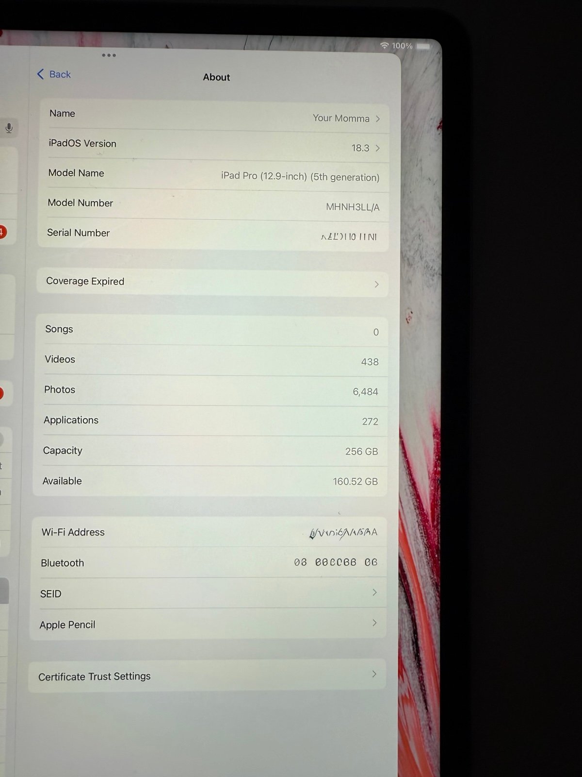 iPad pro 12.9 5th generation with apple pencil 8M57