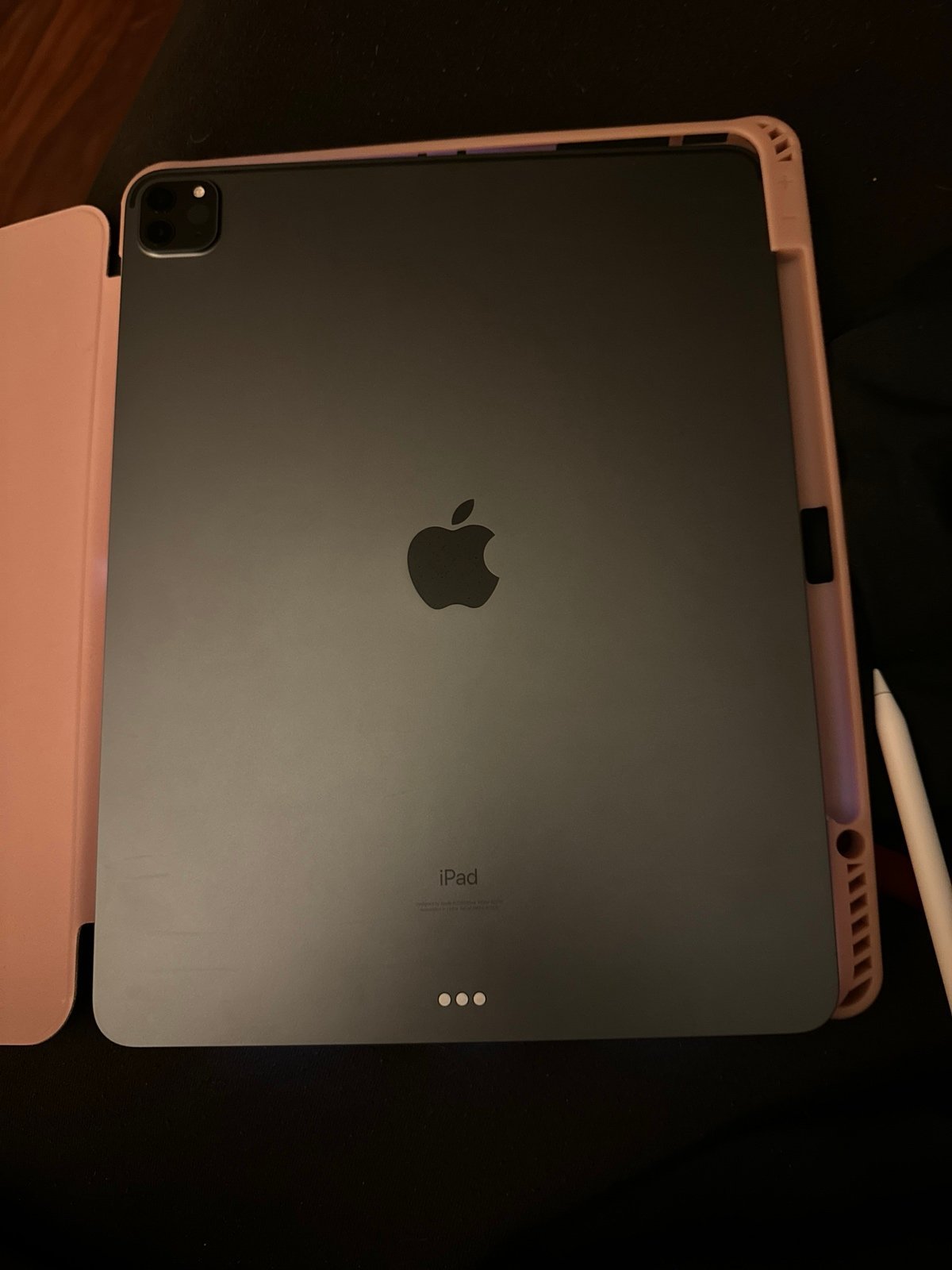 Apple iPad Pro 12 256 GB 5W92