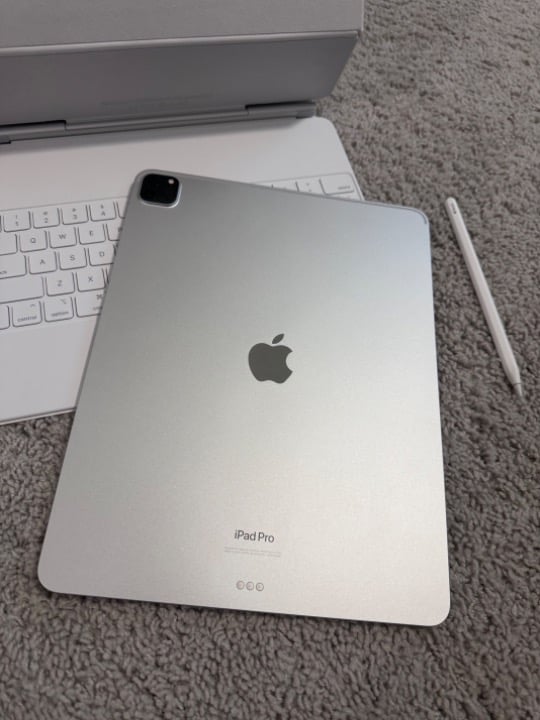 iPad Pro 12.9 in (6th Generation) 256GB - WiFi Only 8T97