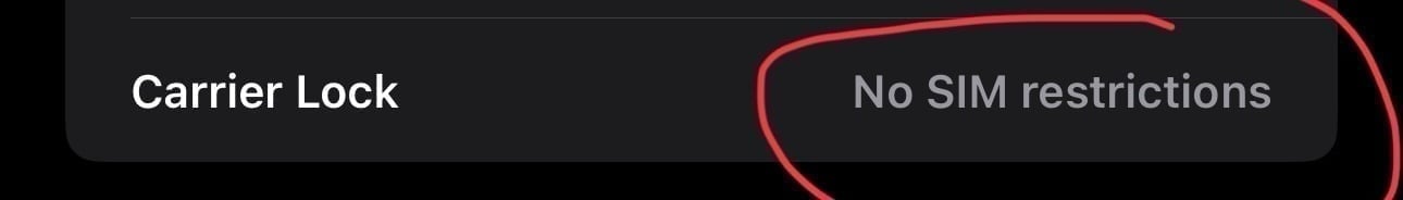 iphone14 pro max phone unlocked 1T63