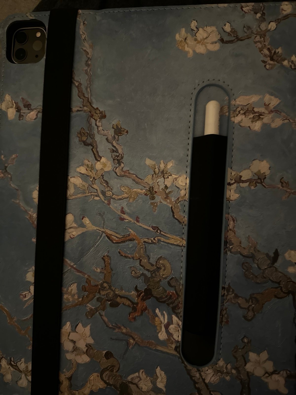 Apple iPad Pro 4th Generation 9H23