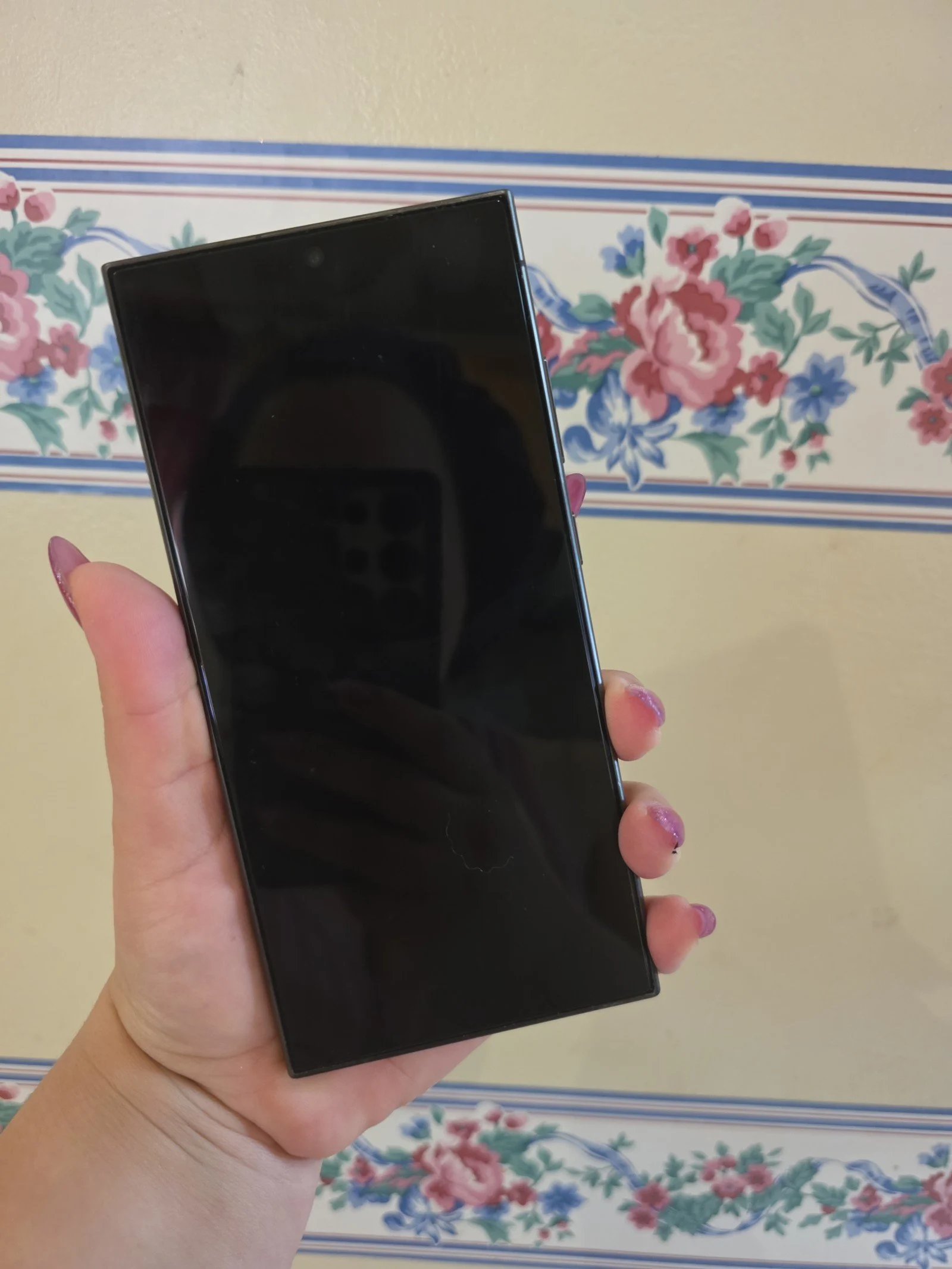 Samsung Galaxy s24 ultra