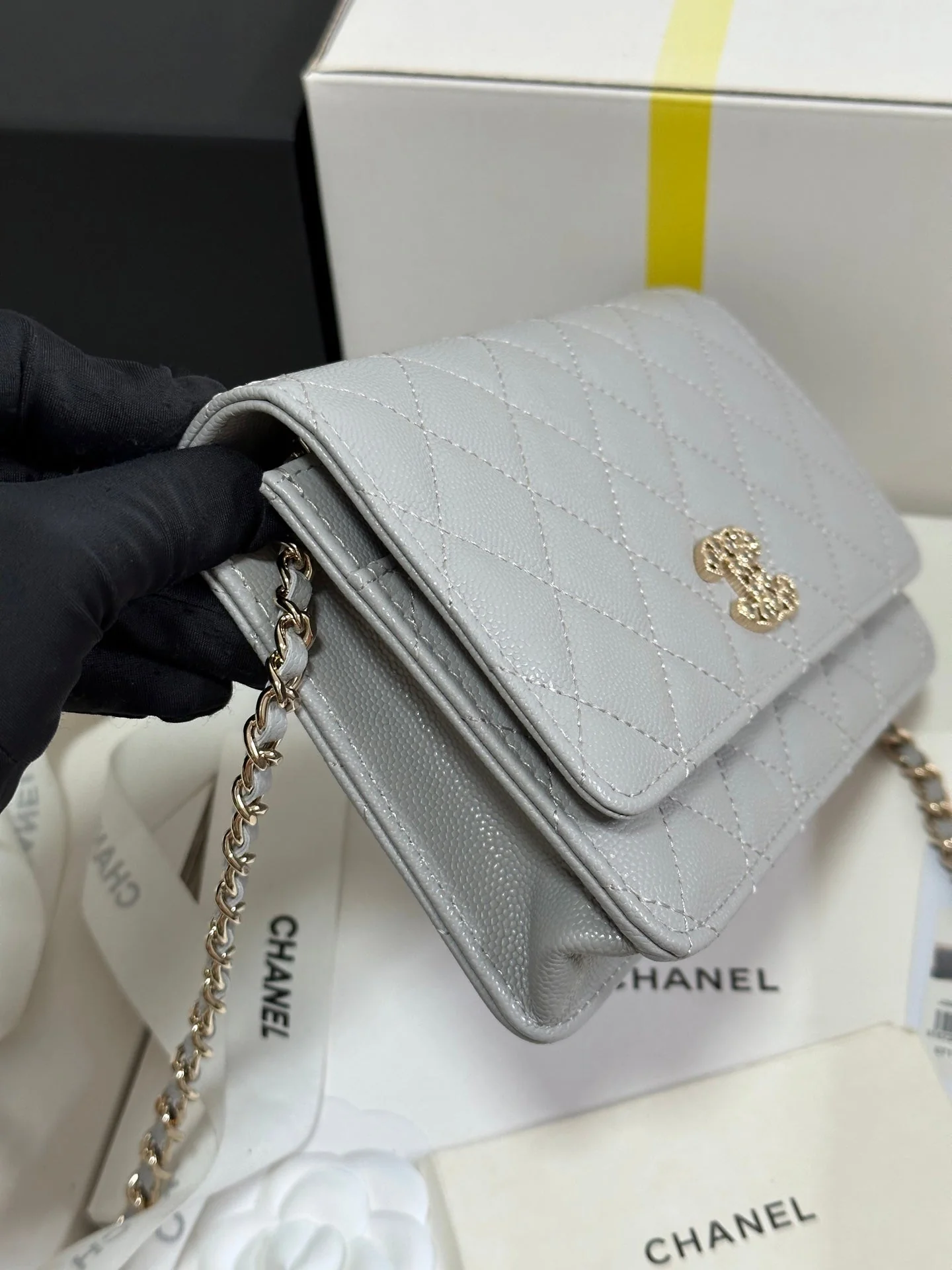 STRASS WOC ENTRUPY BAG 19 IN SPANISH GREY CALFSKIN GOLD HARDWARE