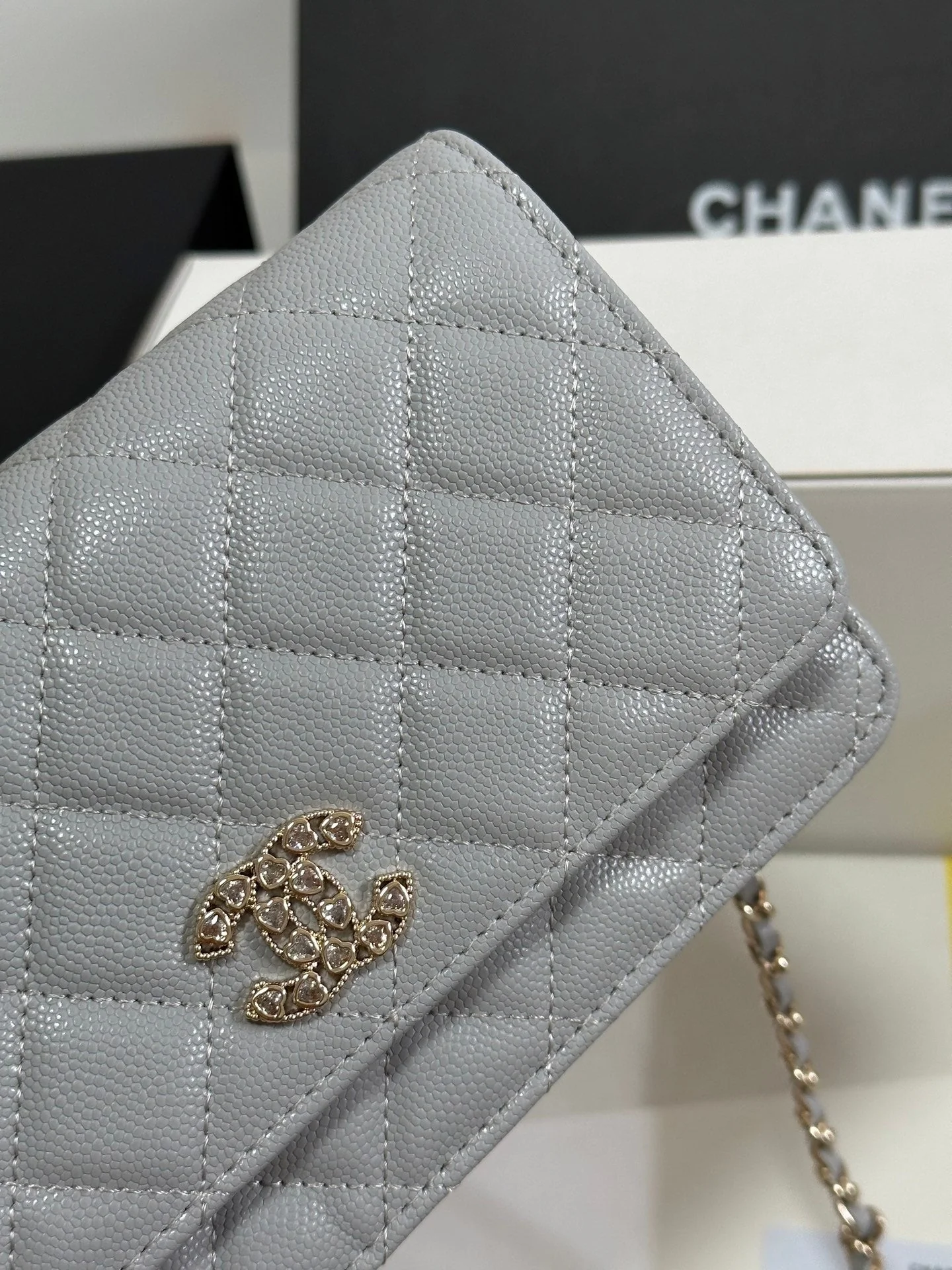 STRASS WOC ENTRUPY BAG 19 IN SPANISH GREY CALFSKIN GOLD HARDWARE