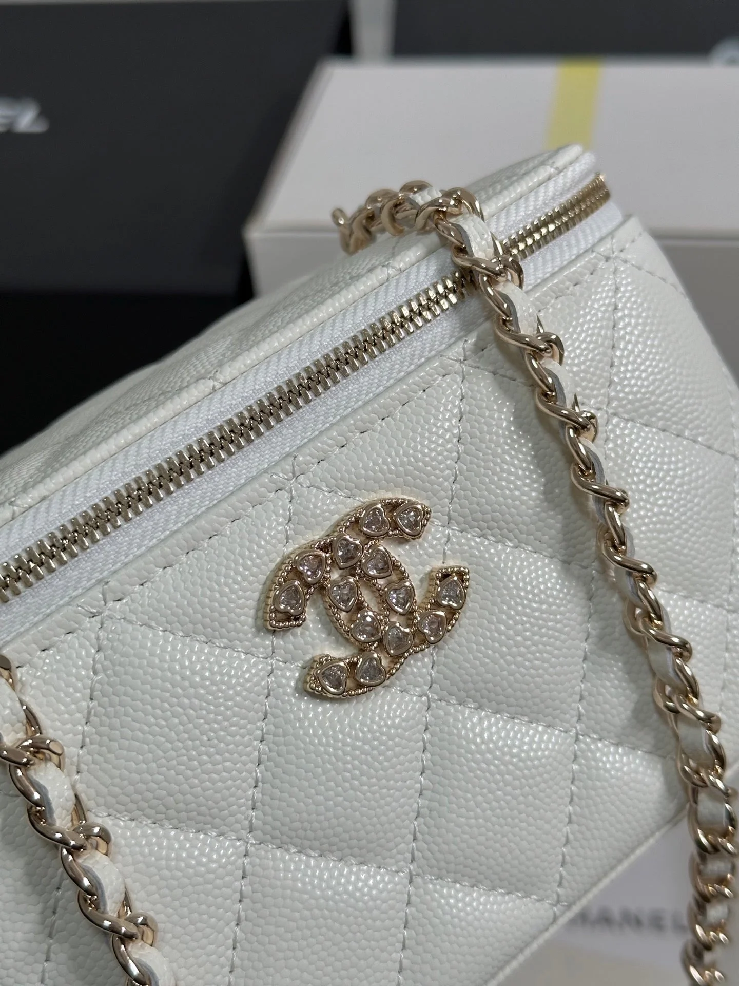 VANITY CASE 17 CRYSTAL STUDDED LOGO IN WHITE CALFSKIN GOLD HARDWARE