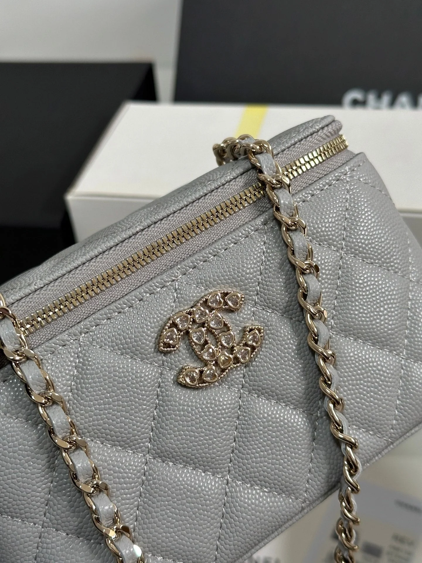 VANITY CASE 17 CRYSTAL STUDDED LOGO IN GREY CALFSKIN GOLD HARDWARE
