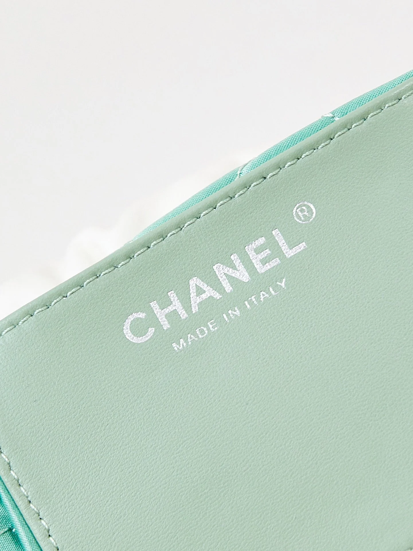 CC MINI 20 HOBO BAG IN WHITE MIX LIGHT GREEN CALFSKIN