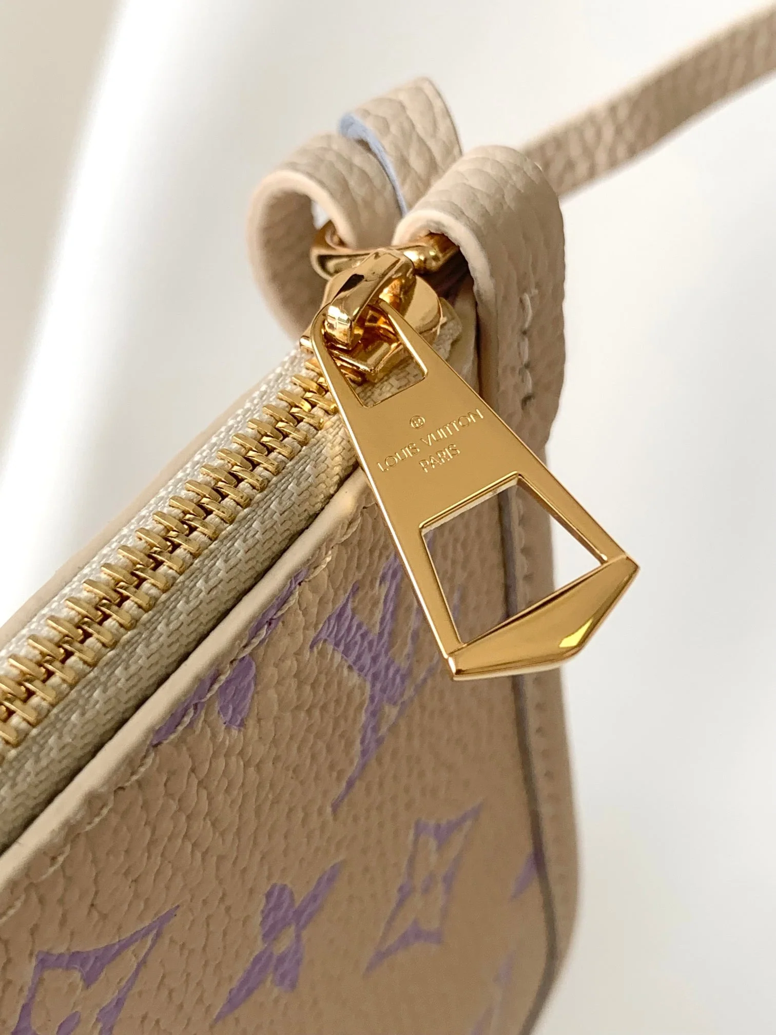 CARRYALL PM 29 BAG IN BEIGE MIX PURPLE MONOGRAM EMPREINTE LEATHER