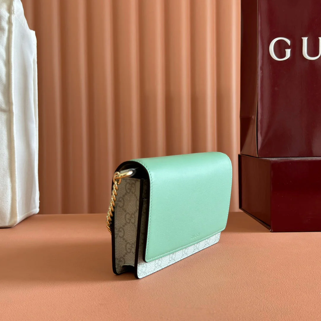 EMBLEM WALLET ON CHAIN 20 IN SAGE GREEN SMOOTH CALFSKIN