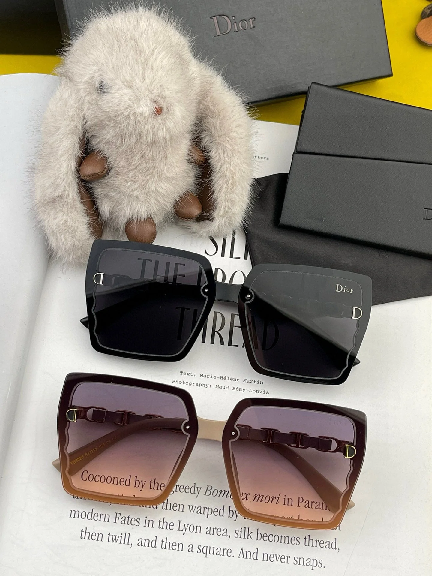 MONTAIGNE SUNGLASS CD5302 IN ACETATE EMBOSSED LOGO