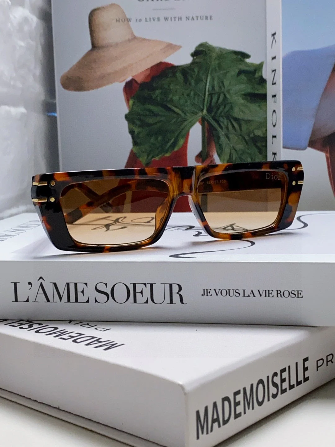 SIGNATURE SUNGLASS 571587 IN HAVANA ACETATE