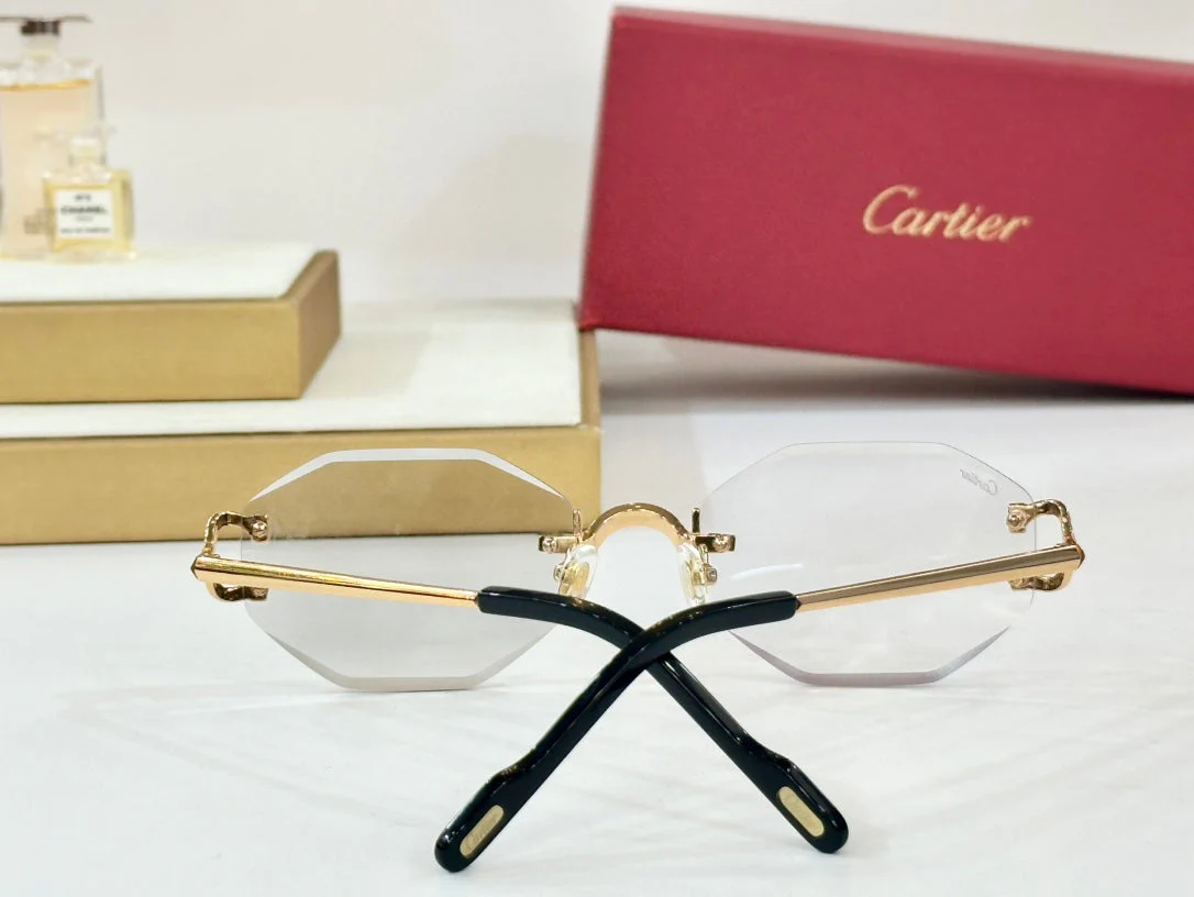PHOTOCHROMIC LENSES GEOMETRIC FRAME SUNGLASSES CT0581S IN METAL
