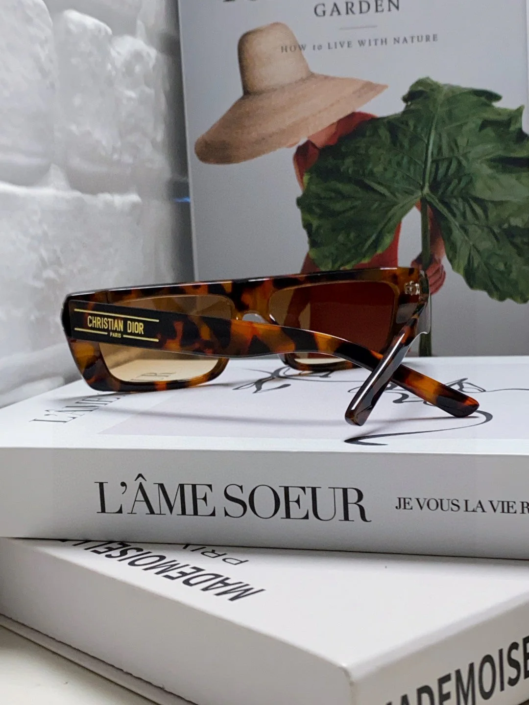 SIGNATURE SUNGLASS 571587 IN HAVANA ACETATE