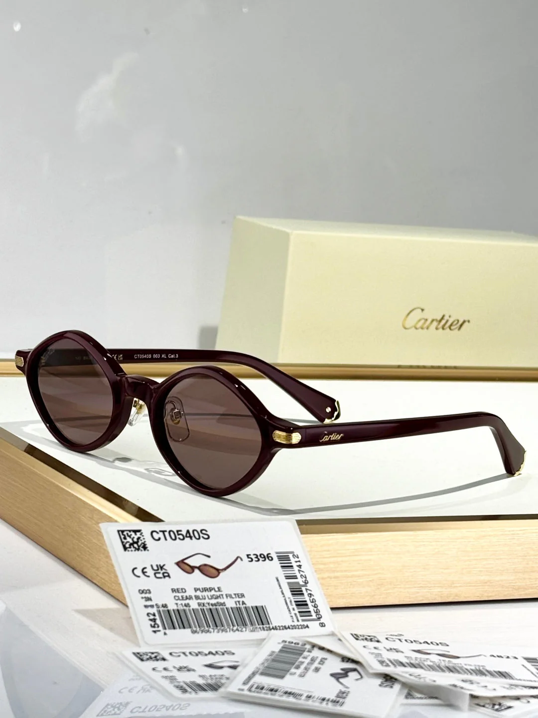 PREMIÈRE GEOMETRIC FRAME SUNGLASSES CT0540S IN ACETATE