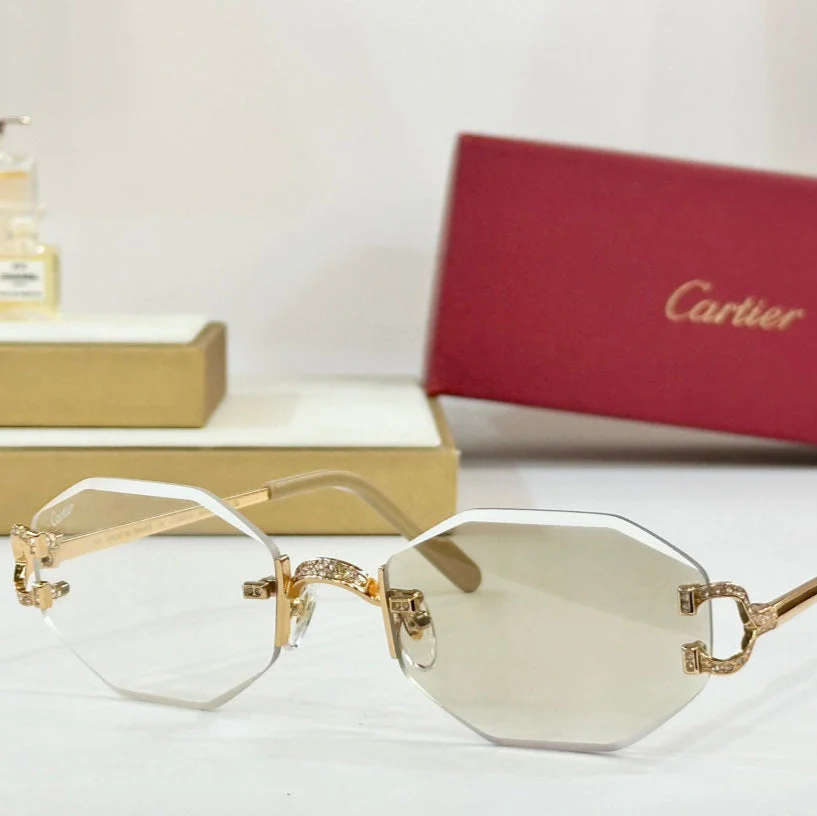 PHOTOCHROMIC LENSES GEOMETRIC FRAME SUNGLASSES CT0581S IN METAL