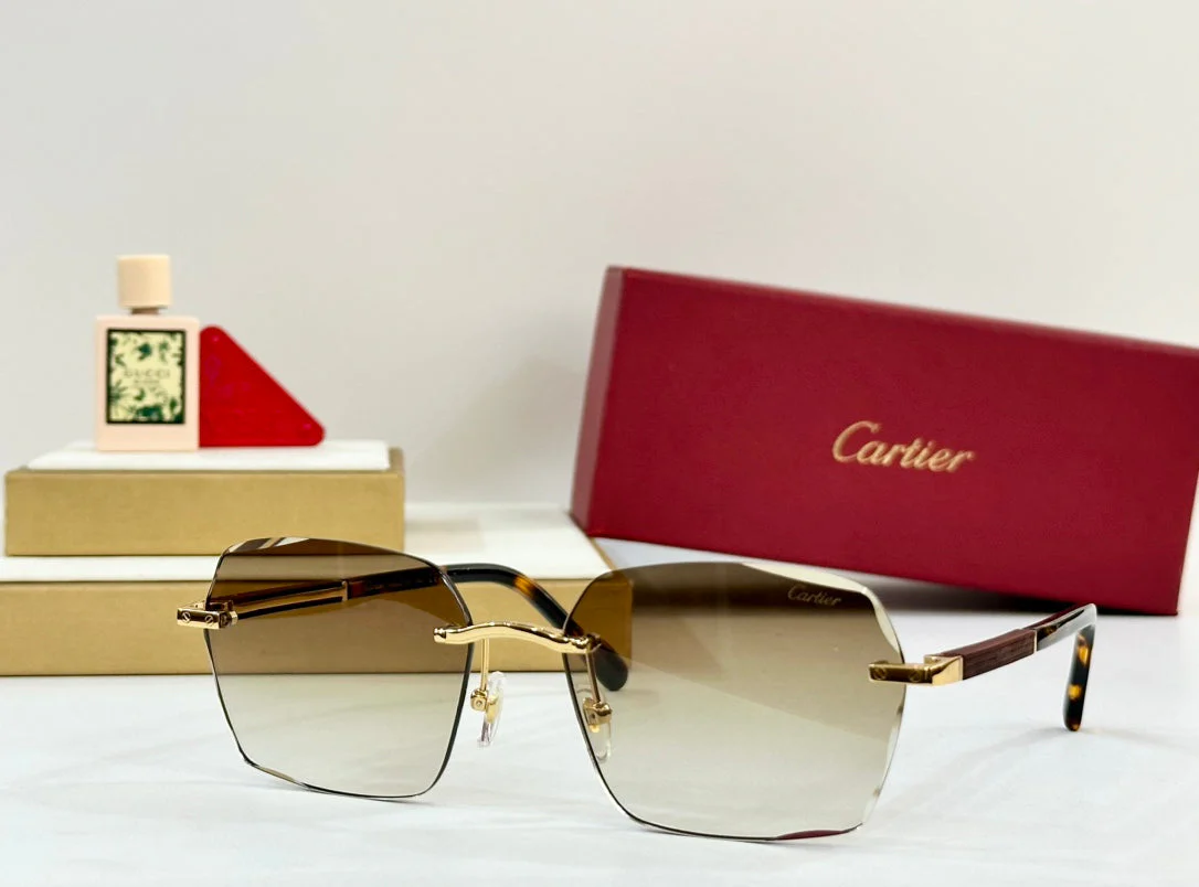PREMIÈRE GEOMETRIC FRAME SUNGLASSES 530303 IN METAL AND WOODEN