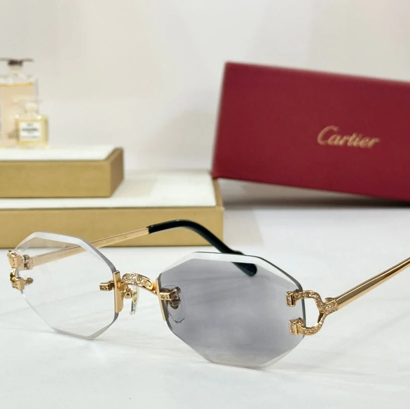 PHOTOCHROMIC LENSES GEOMETRIC FRAME SUNGLASSES CT0581S IN METAL