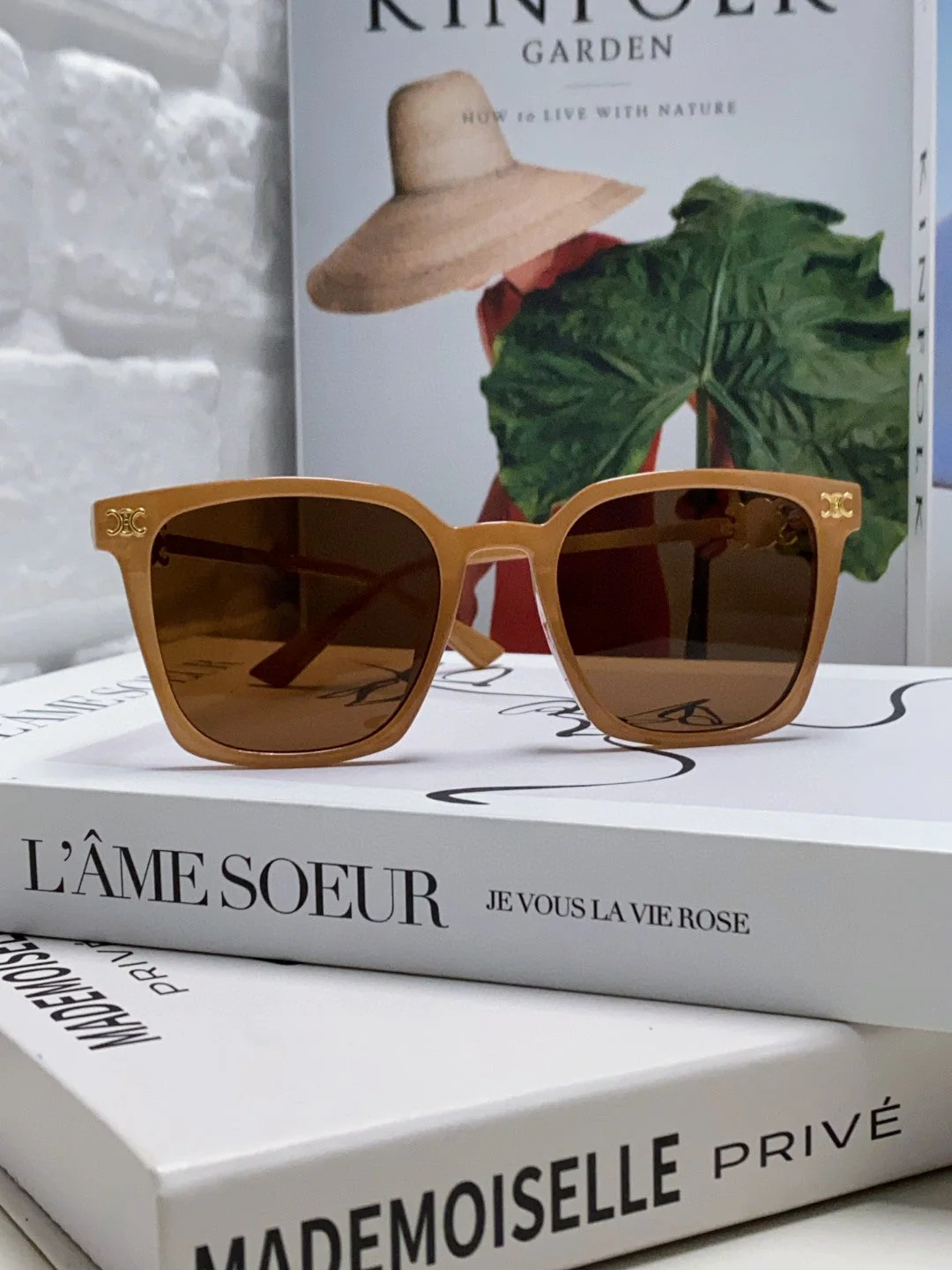 TRIOMPHE SUNGLASS 497816 IN NUDE METAL