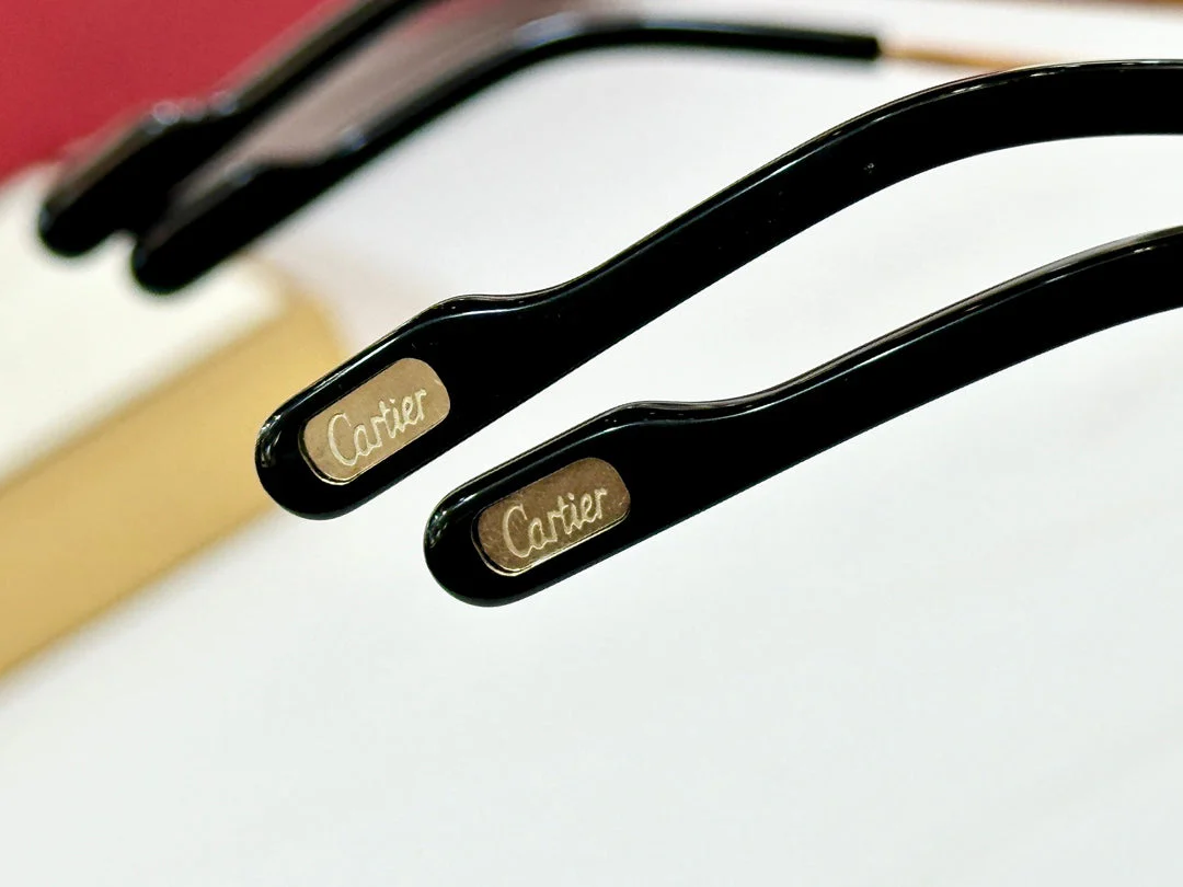 CRYSTAL STUDDED RIMLESS SQUARE FRAME SUNGLASSES CT0603S IN METAL PHOTOCHROMIC LENSES