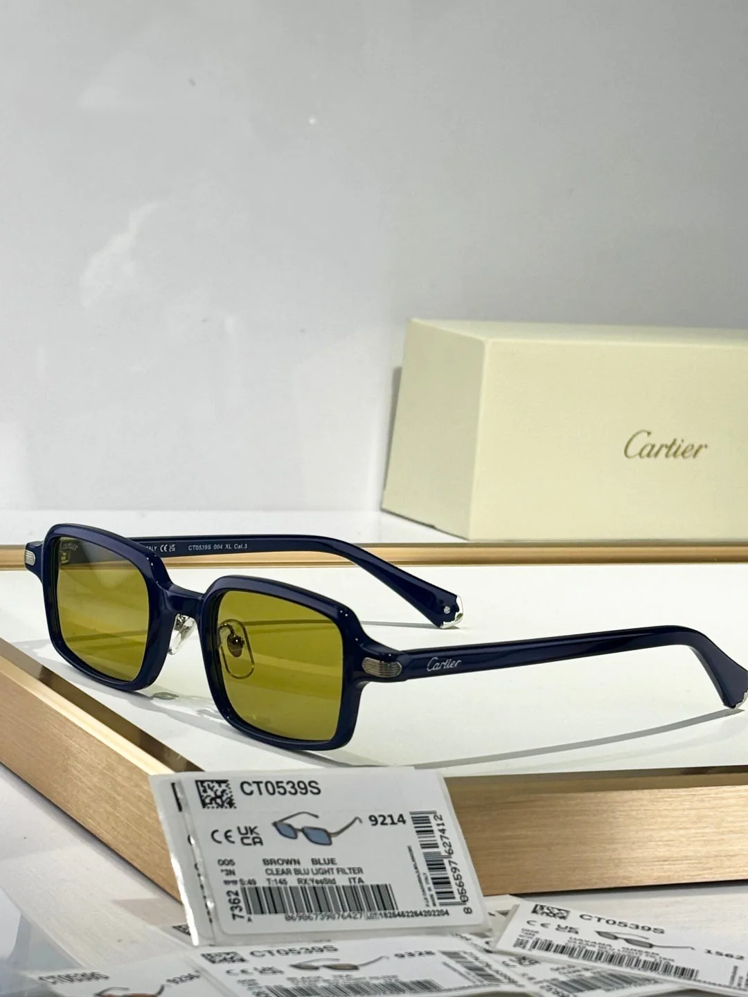 PREMIÈRE SQUARE FRAME SUNGLASSES CT0539S IN ACETATE