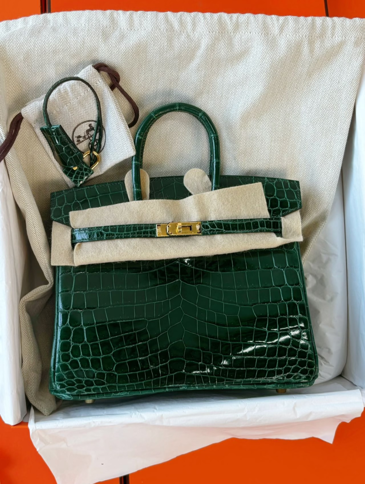 Birkin 25-35 Emerald Bay Crocodile Leather