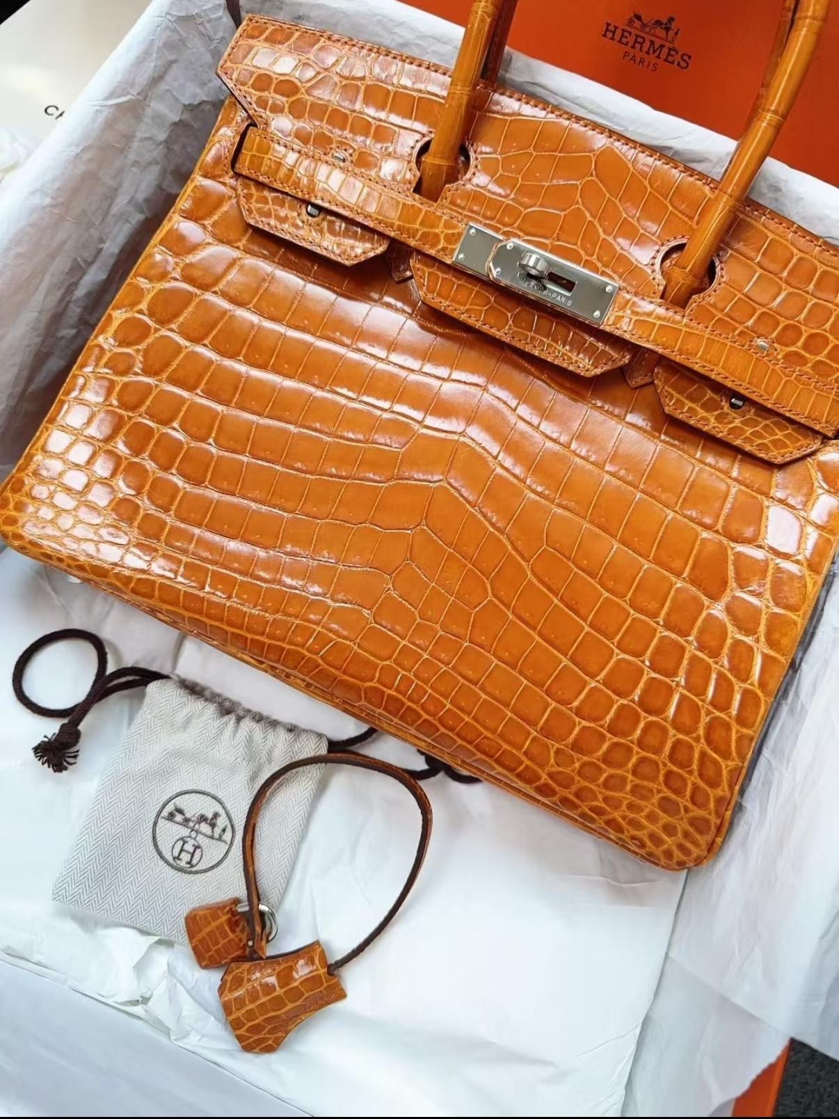 Birkin 25-30 Ginger Shiny Crocodile Leather