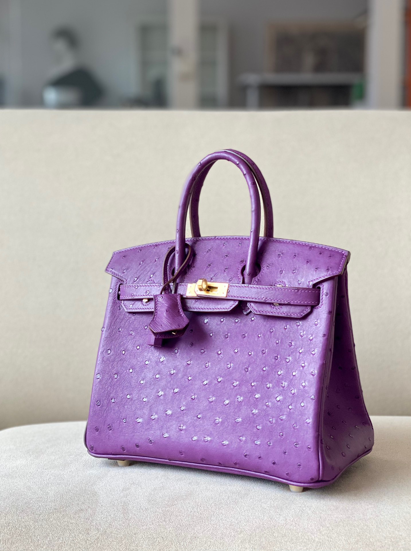 Advanced customization Birkin 25-30 Ostrich skin