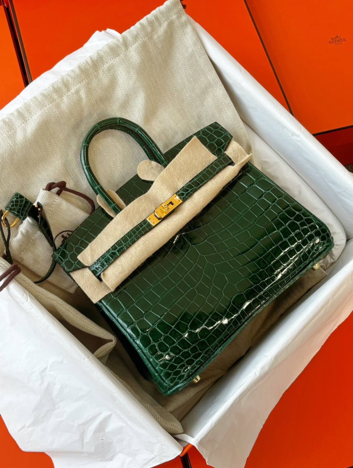 Birkin 25-35 Emerald Bay Crocodile Leather