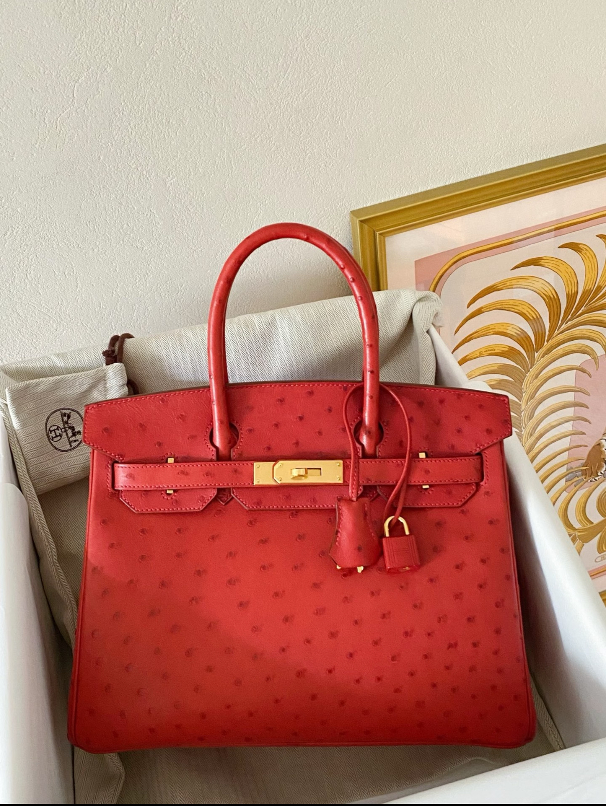 Birkin 25-35 gold buckle custom Ostrich leather