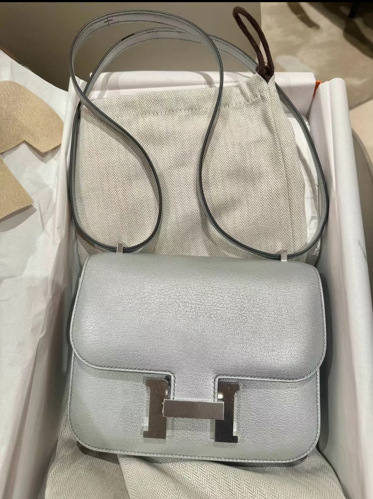 Constance 19 Olympic Silver Goatskin Custom