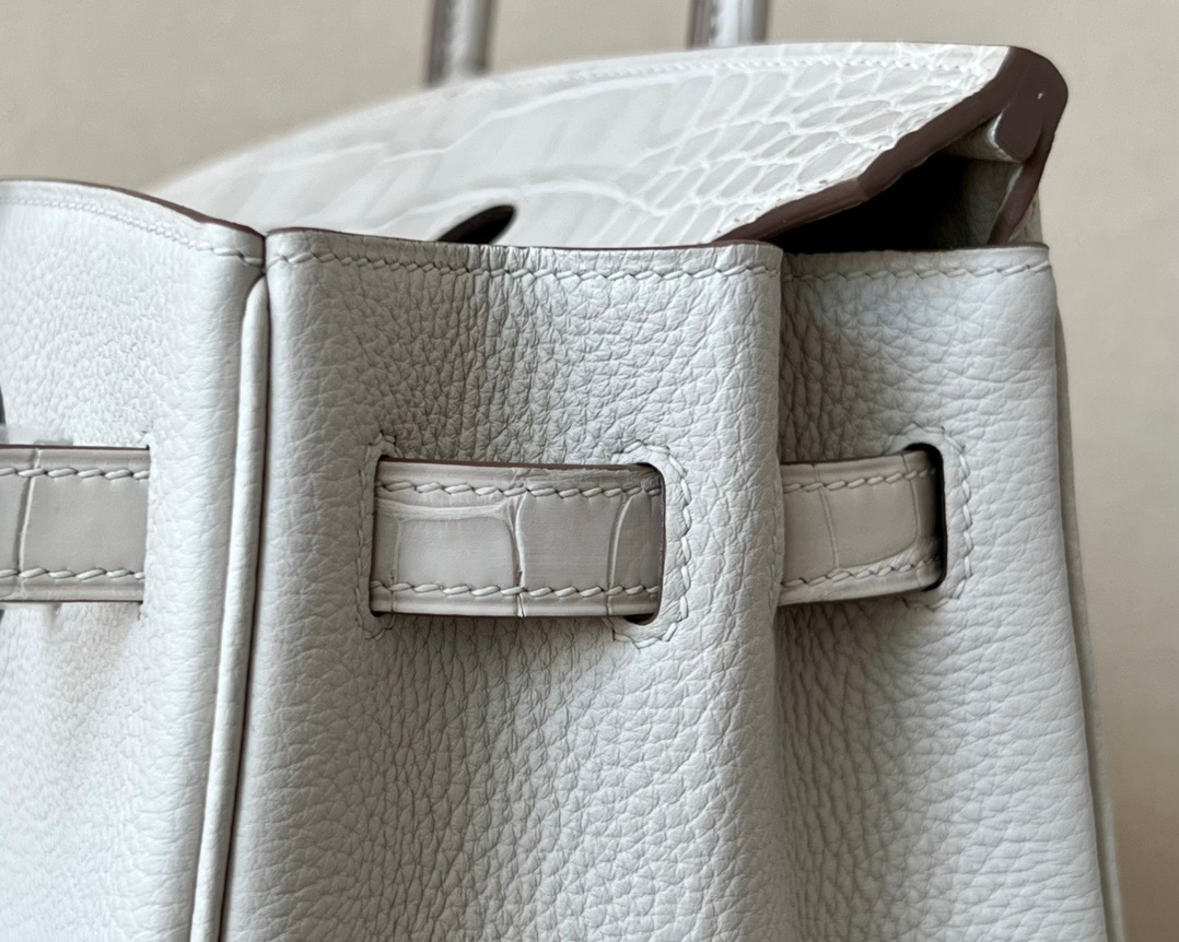 Advanced customization Birkin 25 crocodile skin