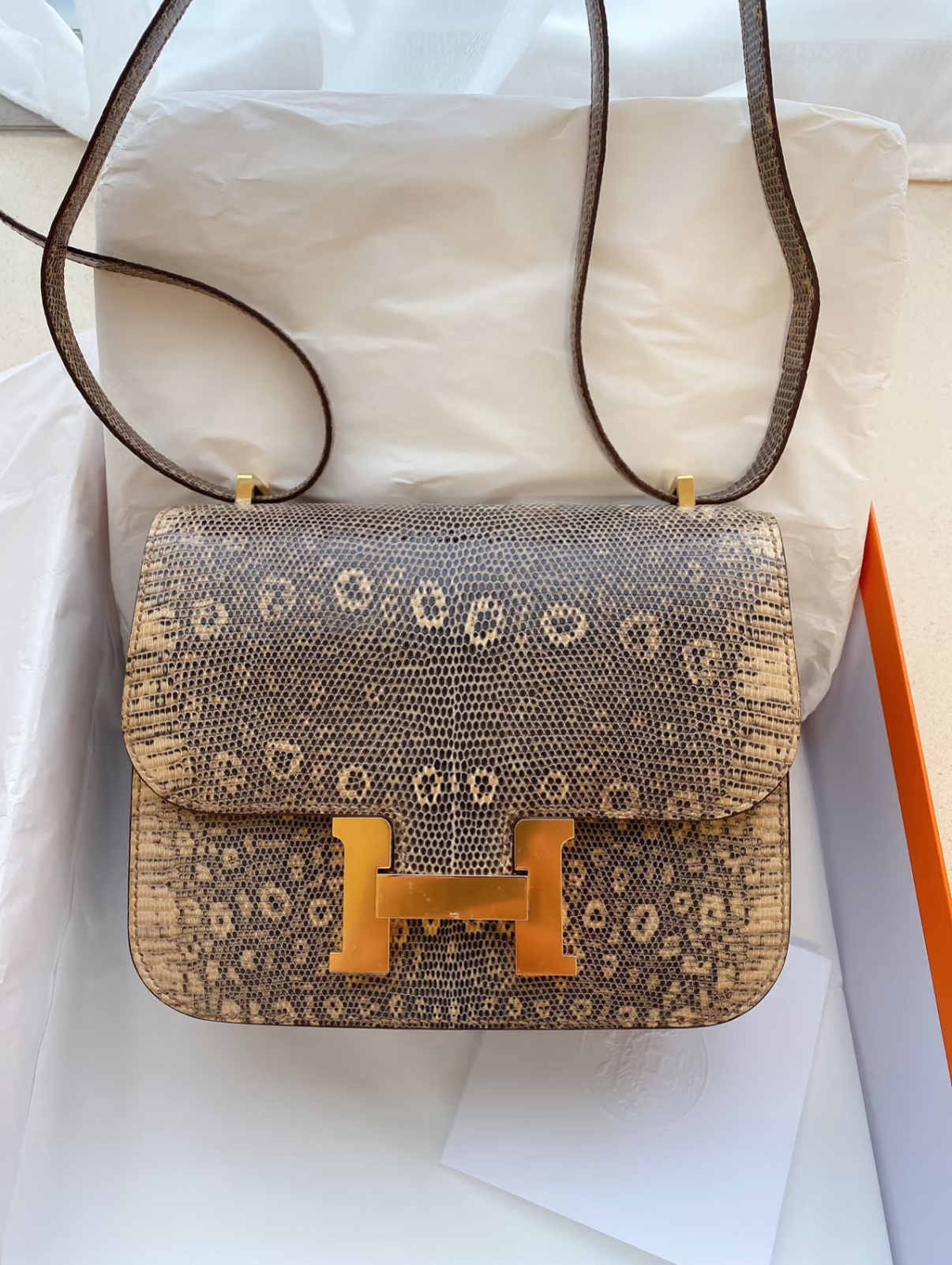 Constance 24 Lizard Leather Custom