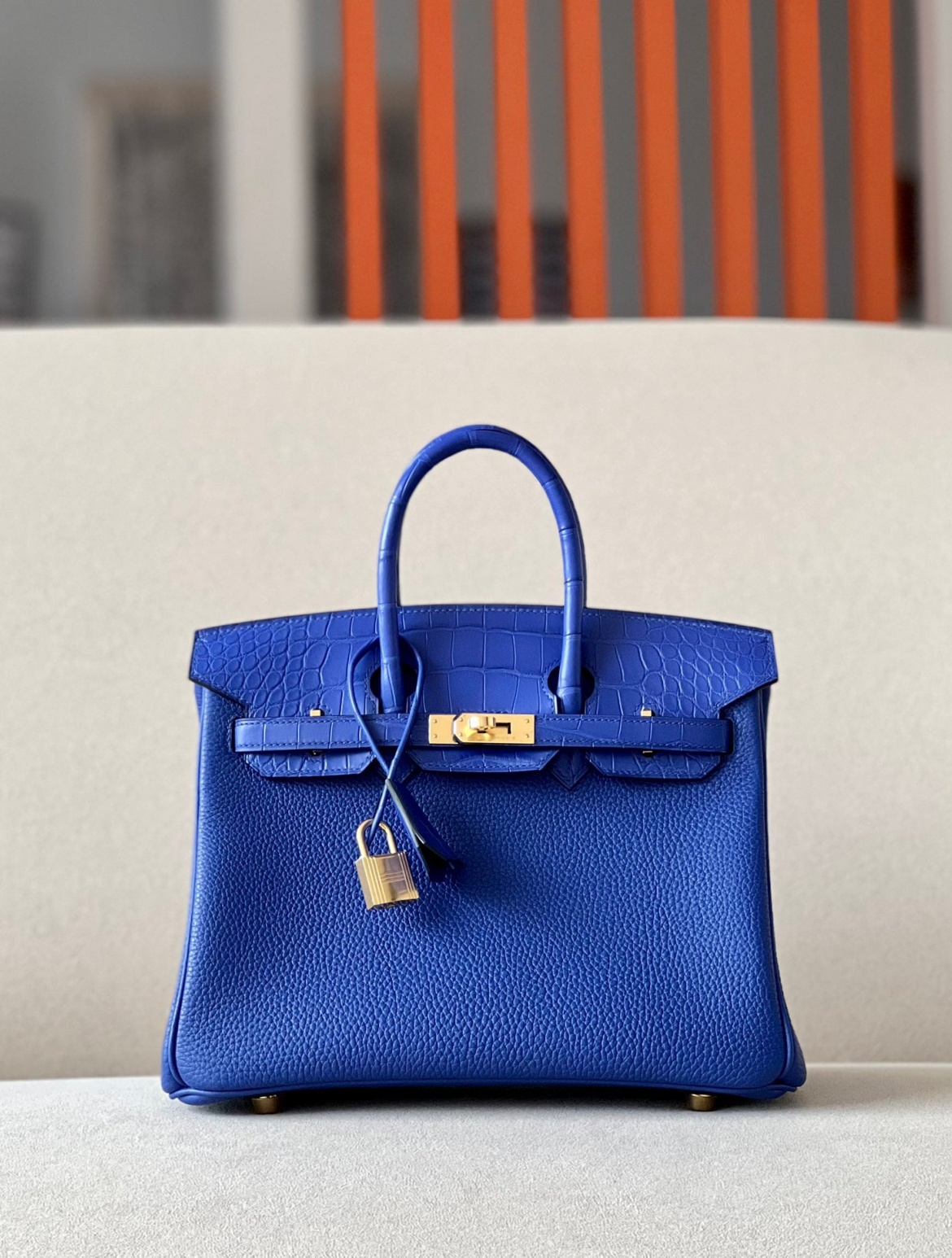 Advanced customization Birkin 25 crocodile skin