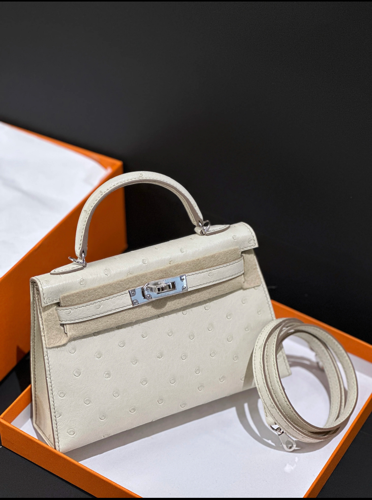 Mini Kelly II 19 Silver Buckle Glacier White Ostrich Leather Custom