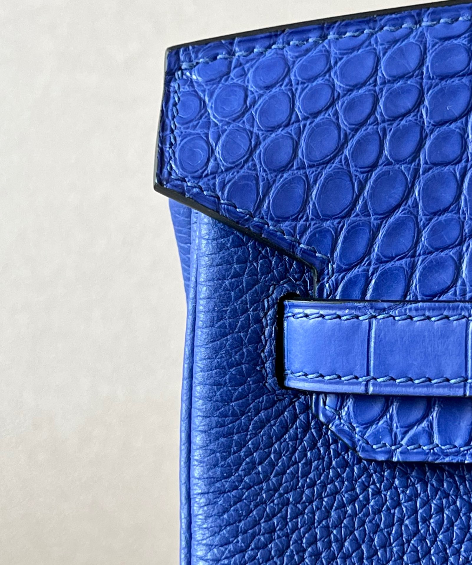 Advanced customization Birkin 25 crocodile skin