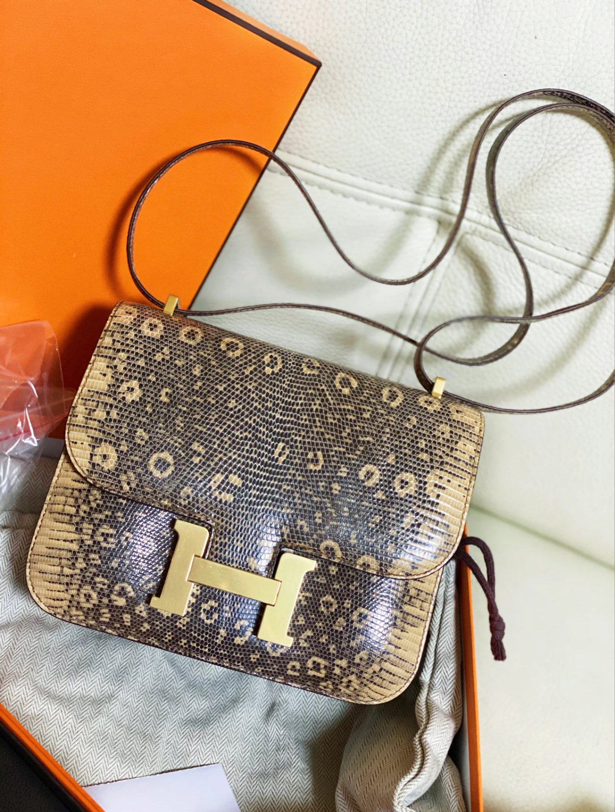 Constance 24 Lizard Leather Custom